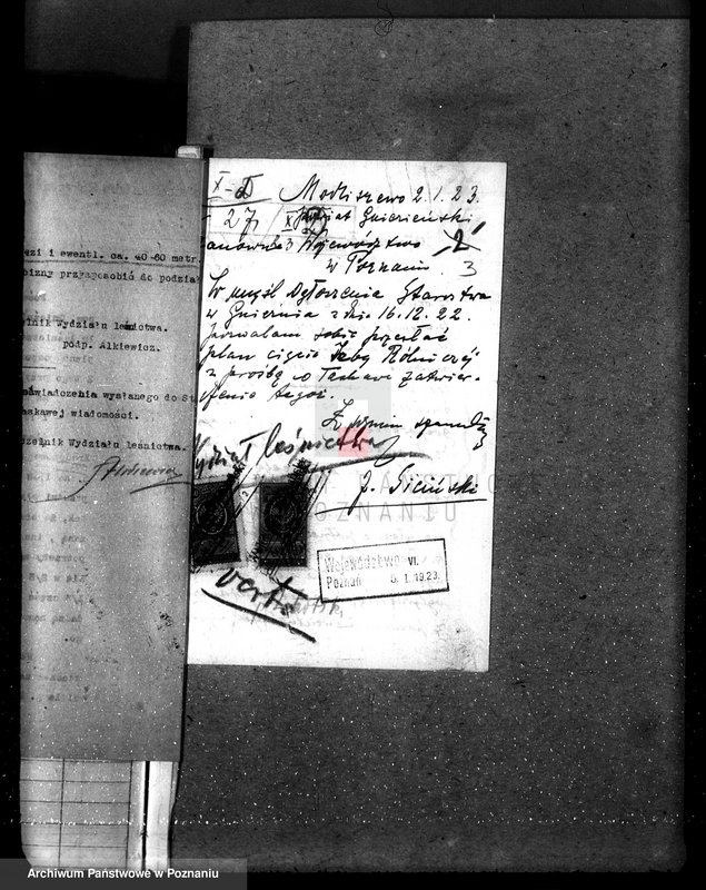 Obraz 7 z jednostki "Nadzór nad gospodarką w lasach majętności Modliszewo powiecie gnieźnieńskim"