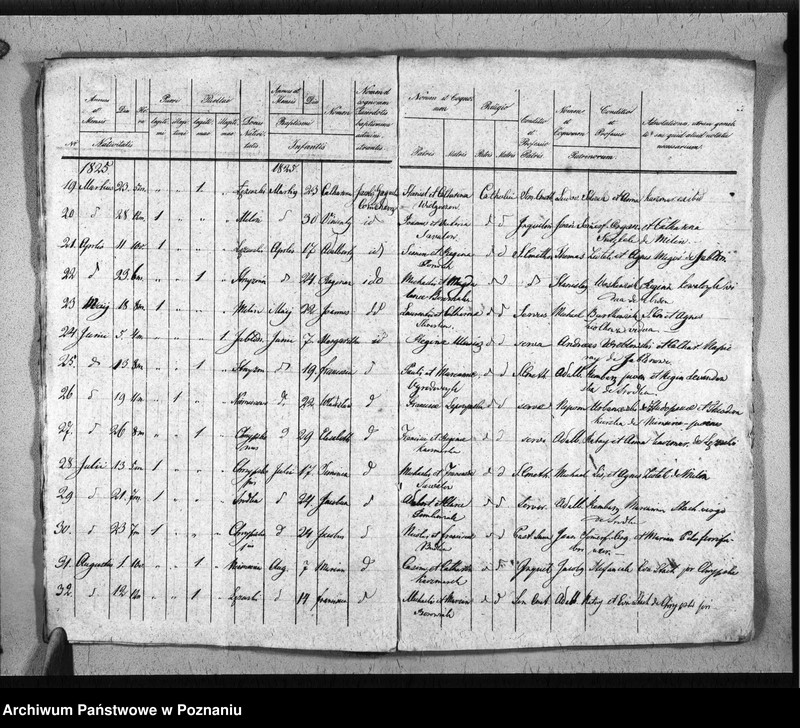 Obraz 8 z jednostki "Duplikat baptisatorum, copulatorum, mortuorum"