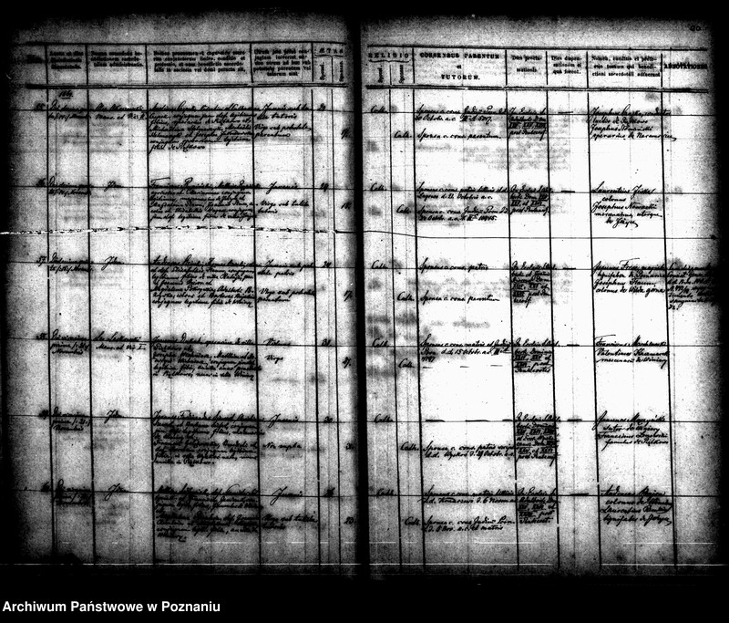 Obraz 11 z jednostki "Księga małżeństw"