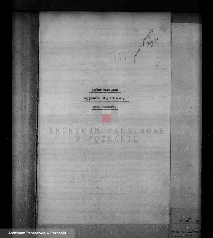 Obraz 5 z jednostki "/Nadzór nad lasami/ majątku Gębice powiatu czarnkowskiego"