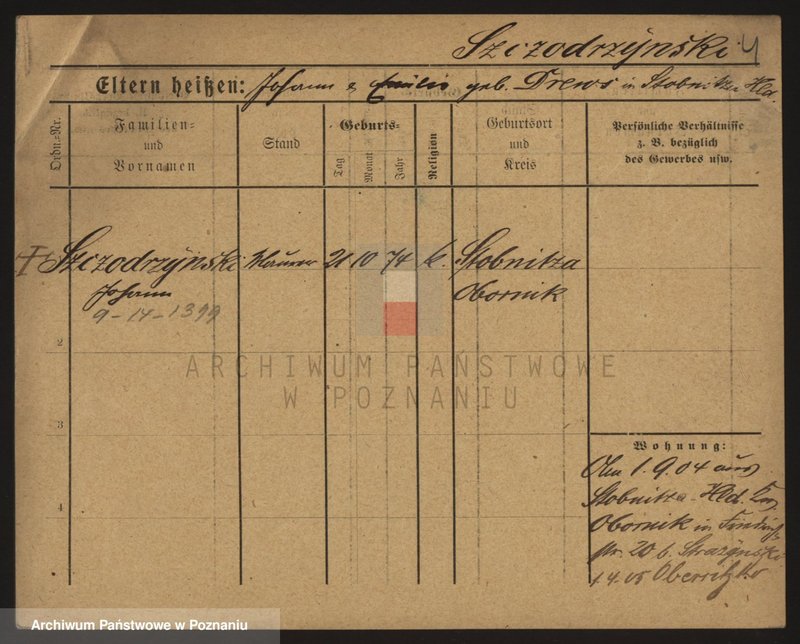 Obraz 11 z jednostki "Szczodrzyński - Szefer (żony i wdowy)"