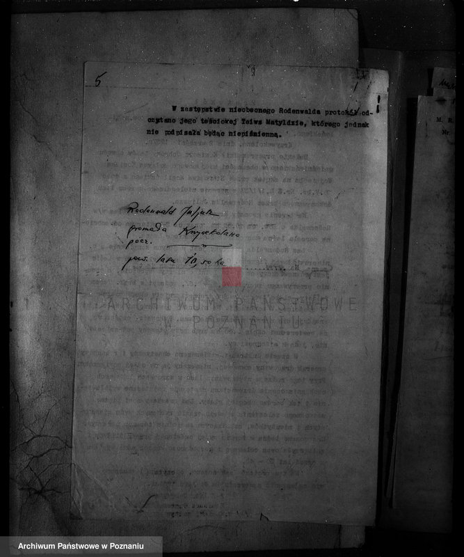 Obraz 9 z jednostki "Krzywekolano powiat mogileński /las Juliuszy Rodenwalda/"