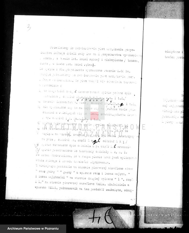 Obraz 7 z jednostki "Nadzór nad gospodarką w lasach majątku Lubinia-Wielka w powiecie jarocińskim"