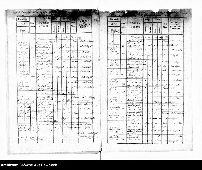 image.from.unit.number "Parafia: Mosty Wielkie. Dekanat: Bełz. Ekstrakty z księgi metrykalnej urodzeń, ślubów i zgonów dla miasta Mosty Wielkie i wsi: Butyny, Chlewczany*, Domaszów*, Przystań, Rekliniec, Dworce, Maziarnia**, Stanisłówka, Sałasze*, Strzemień, Wolica, Choronów*."