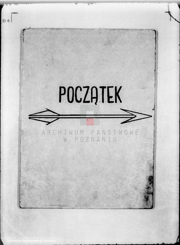 Obraz 3 z jednostki "Stowarzyszenie,,Łowiec Wielkopolski" w Poznaniu"