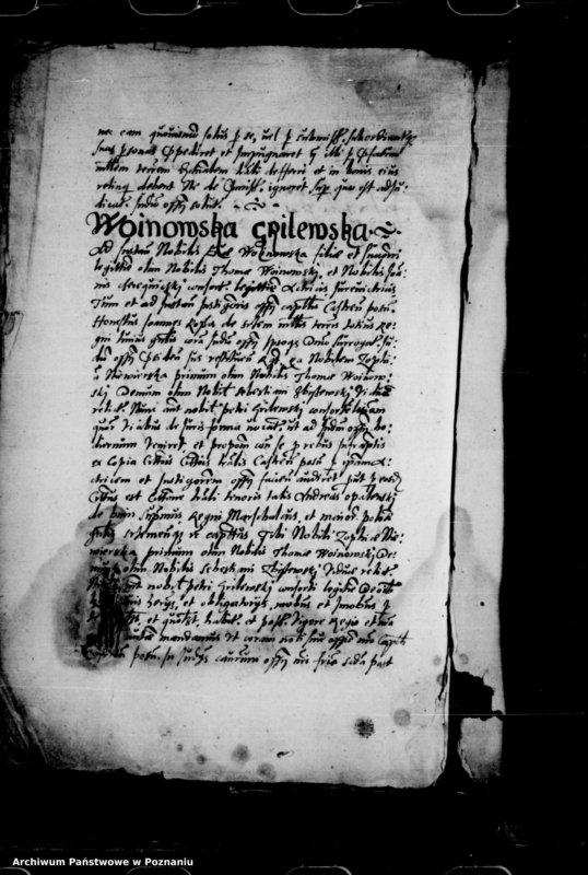 Obraz 18 z jednostki "Inscriptiones, relationes, decreta iudicii et officii [inducta]"