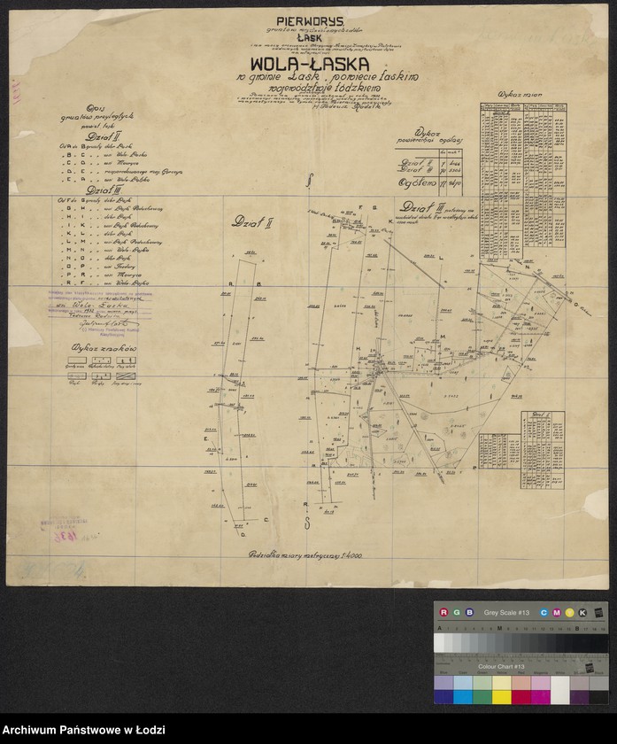 Obraz 1 z jednostki "Pierworys gruntów wydzielonych z dóbr Łask ... oddanych w zamian za serwituty pastwiskowo-leśne na własność wsi Wola Łaska, w gminie Łask, powiecie łaskim, województwie łódzkim położonych"