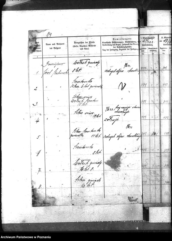 Obraz 20 z jednostki "Nosacizna - Koźmin"