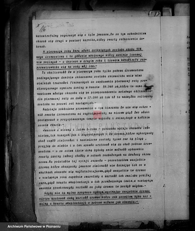 Obraz 20 z jednostki "Majętności leśne w Krucz-Goraju w powiecie czarnkowskim"