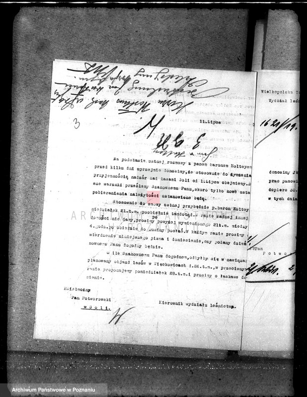 Obraz 6 z jednostki "Majętność leśna Gola w powiecie gostyńskim"