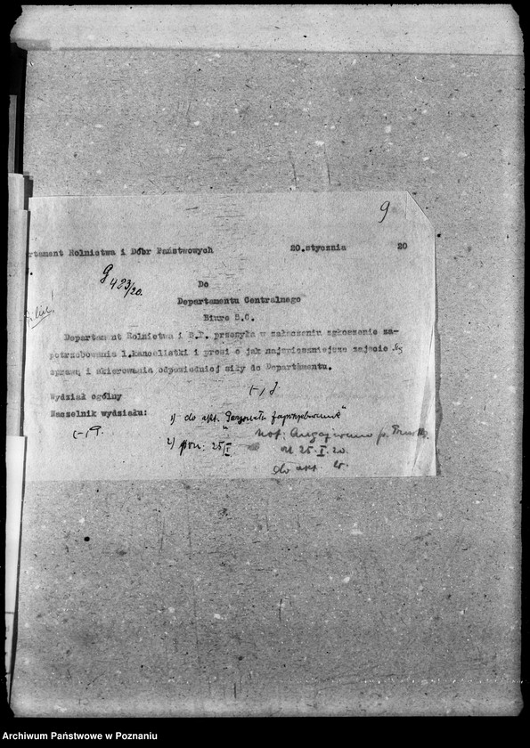 Obraz 12 z jednostki "Sprawy osobowe personelu zapotrzebowanie"