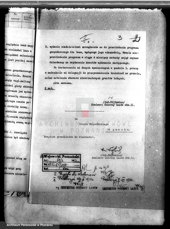 Obraz 7 z jednostki "Las majątku Borowy Młyn powiat międzychodzki"