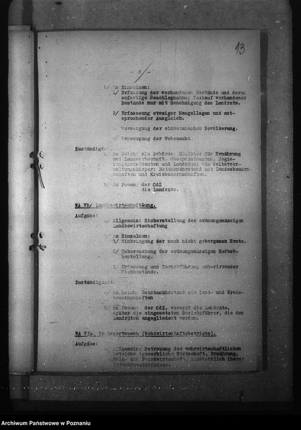 Obraz 17 z jednostki "Podziały czynności w wydziałach oraz przybudówkach urzędu namiestnika"