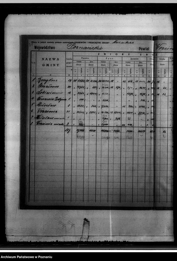 Obraz 15 z jednostki "/Statystyka produkcji rolnej - zestawienie powiatowe - Września/"