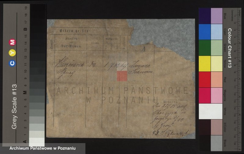 Obraz 1 z jednostki "Kaczmarek do Małgorzata (samotne kobiety)"