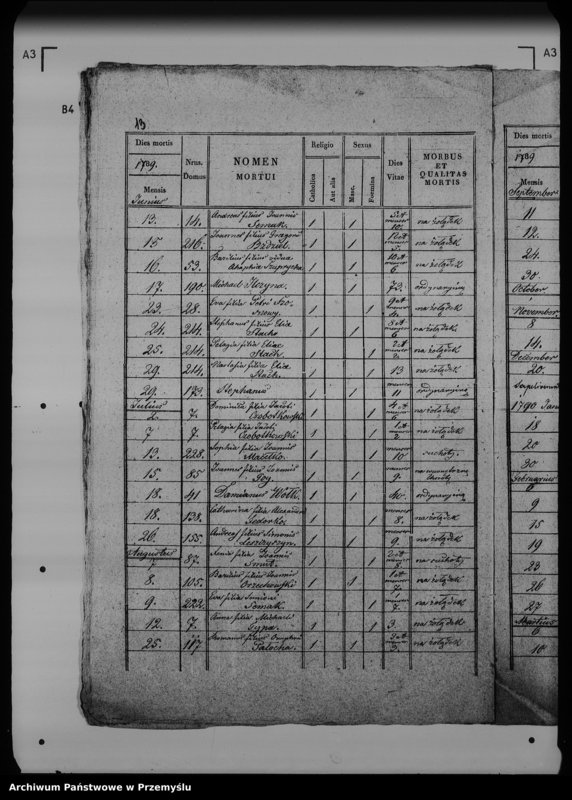 Obraz 19 z jednostki "[Kopie ksiąg metrykalnych parafii Werchrata z filią Prusie (dekanat Rawa Ruska)]"