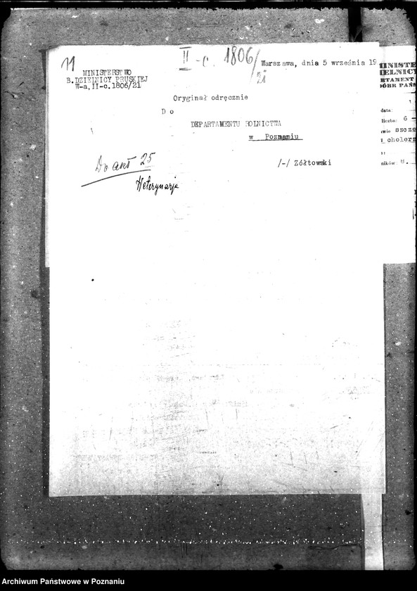 Obraz 16 z jednostki "Weterynaria"