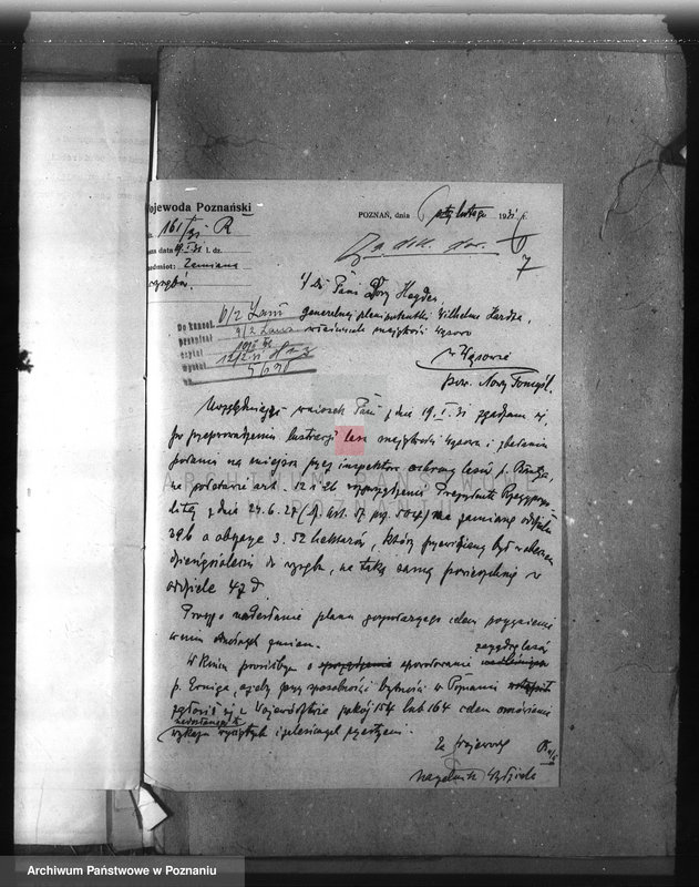 Obraz 12 z jednostki "Majętność leśna Wąsowo w powiecie nowotomyskim"