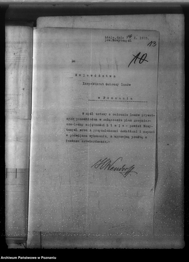 Obraz 18 z jednostki "Majętność leśna Linie w powiecie nowotomyskim"