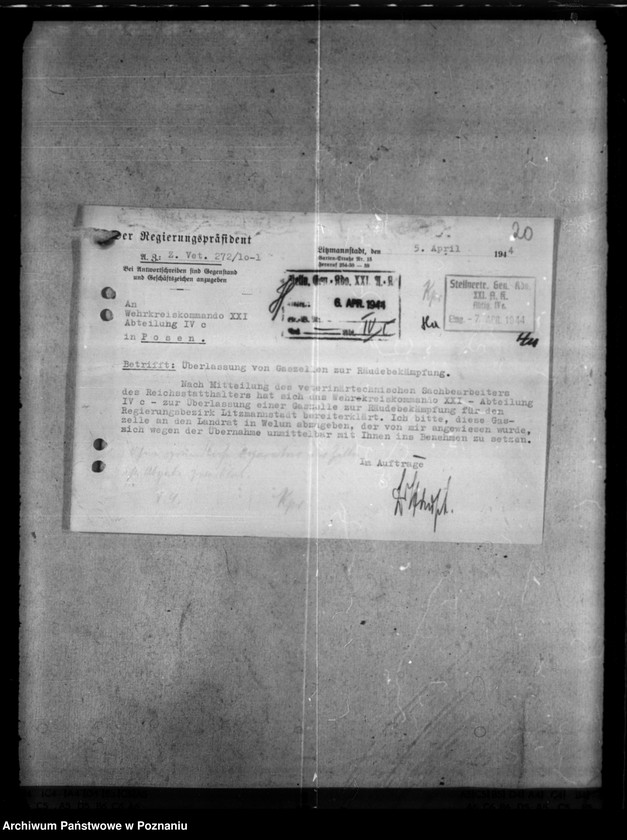 Obraz 19 z jednostki "Bekämpfung der Räude der Einhufer - Pferde, Gaszelle zur Behandlung räudekranker Pferde."