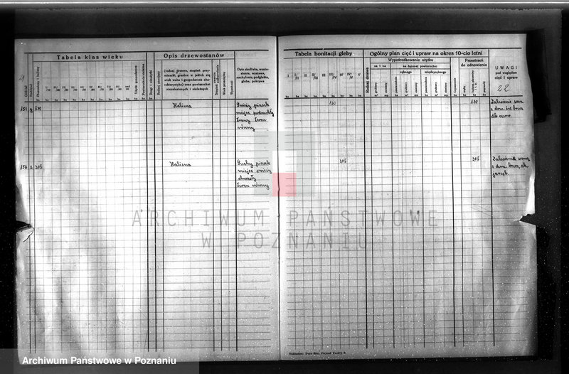 image.from.unit.number "Dodatkowy plan urządzenia gospodarstwa leśnego dla lasu ordynacji Obrzycko powiat szamotulski 1937-1938"