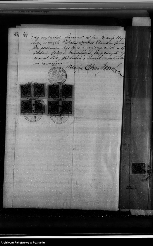 Obraz 19 z jednostki "Majątek Tuliszków, Rysiu, Szubianki powiatu konińskiego /nadzór nad gospodarką leśną/"