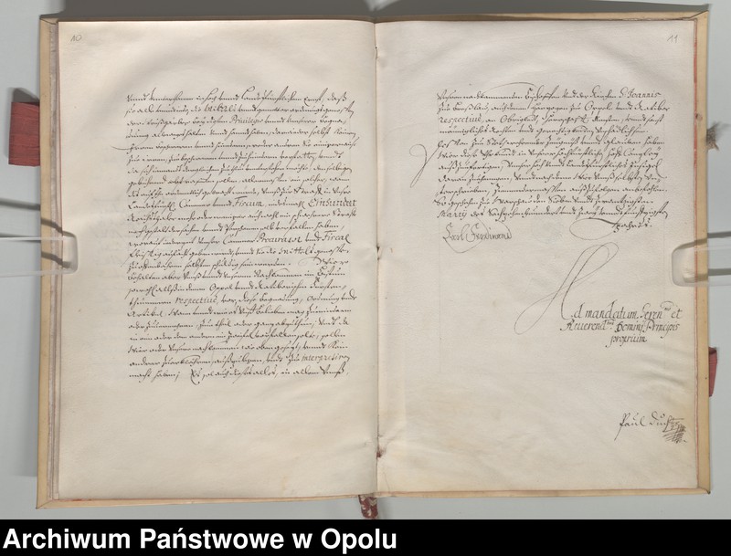 Obraz 10 z kolekcji "Futerał na dokumenty111"