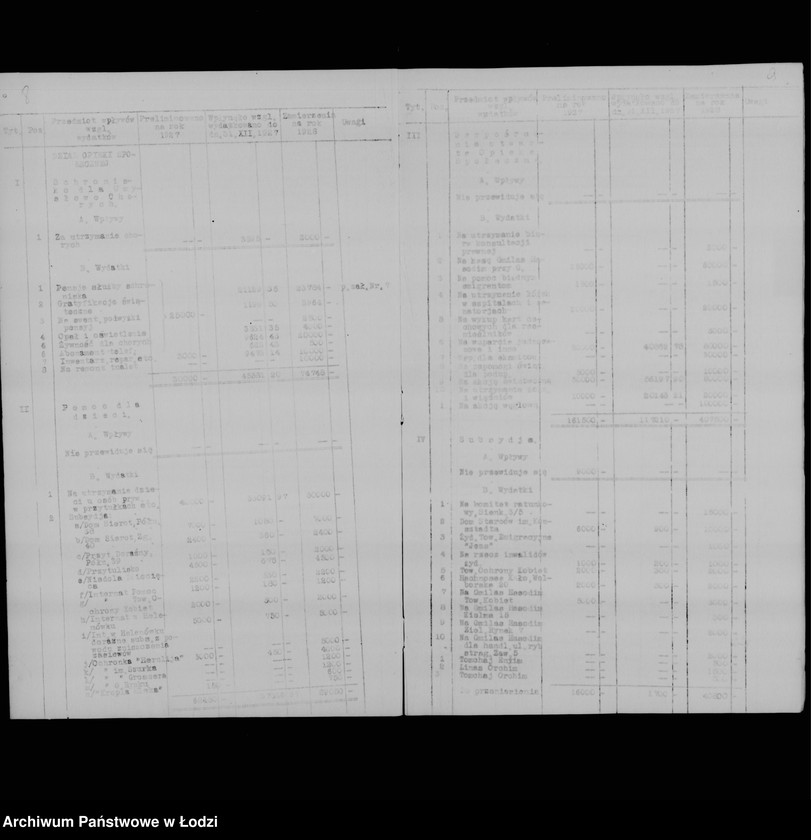 Obraz 9 z jednostki "Zamierzenia skarbowe na rok 1928"
