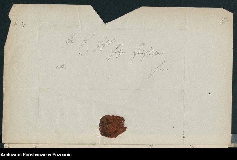 Obraz 12 z jednostki "A. betr. Franz Milewski"