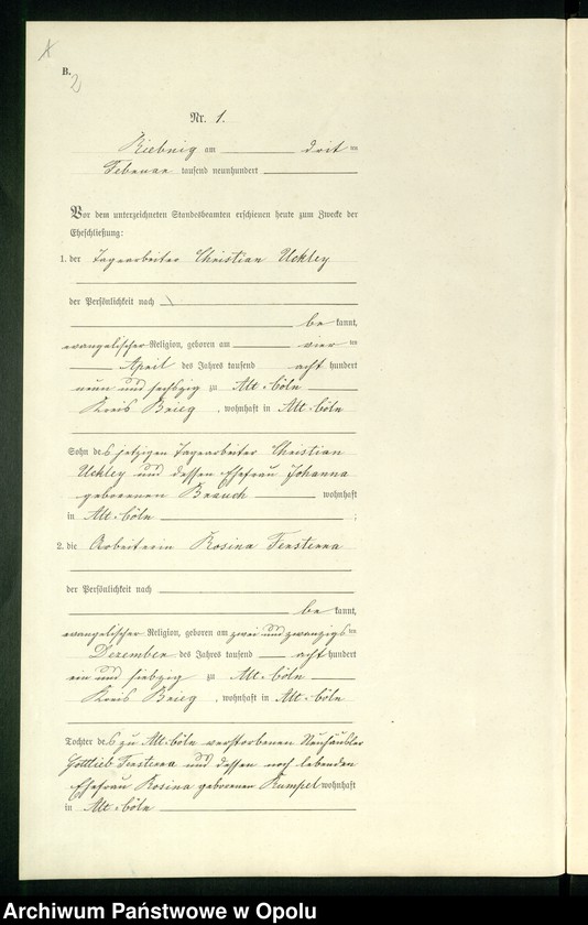 Obraz 5 z jednostki "Heiraths-Neben-Register Standes-Amt Riebnig 1900"