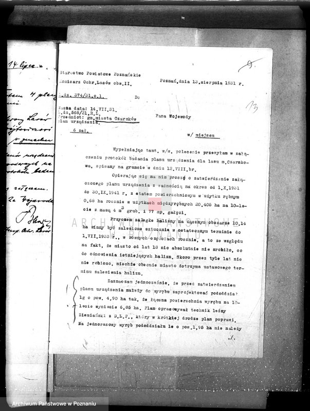 Obraz 17 z jednostki "Magistrat miasta Czarnkowa /nadzór nad gospodarką leśną/"