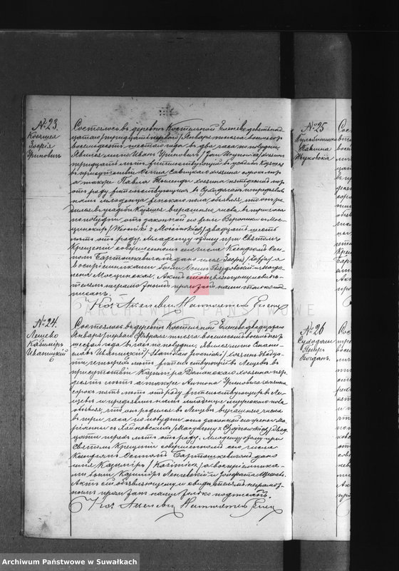 Obraz 16 z jednostki "Dublikat Elenevskago Prichoda s 1886 goda"