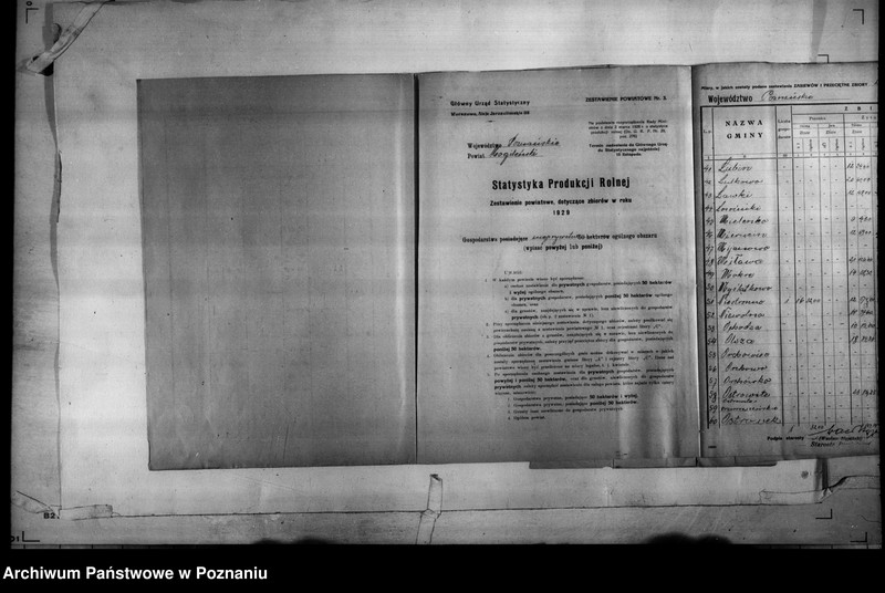 Obraz 8 z jednostki "/Statystyka produkcji rolnej - zestawienie powiatowe - Mogilno/"