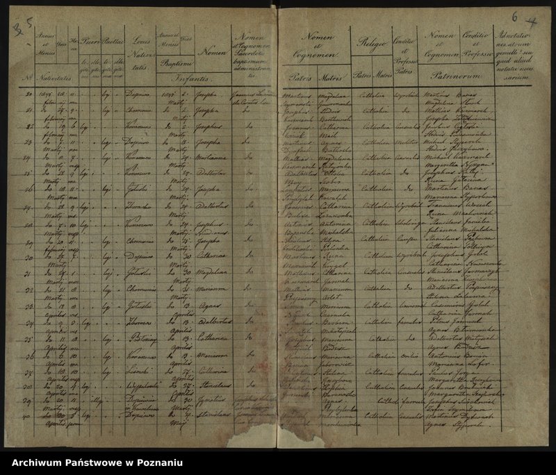 image.from.unit.number "Liber baptisatorum, copulatorum, mortuorum"