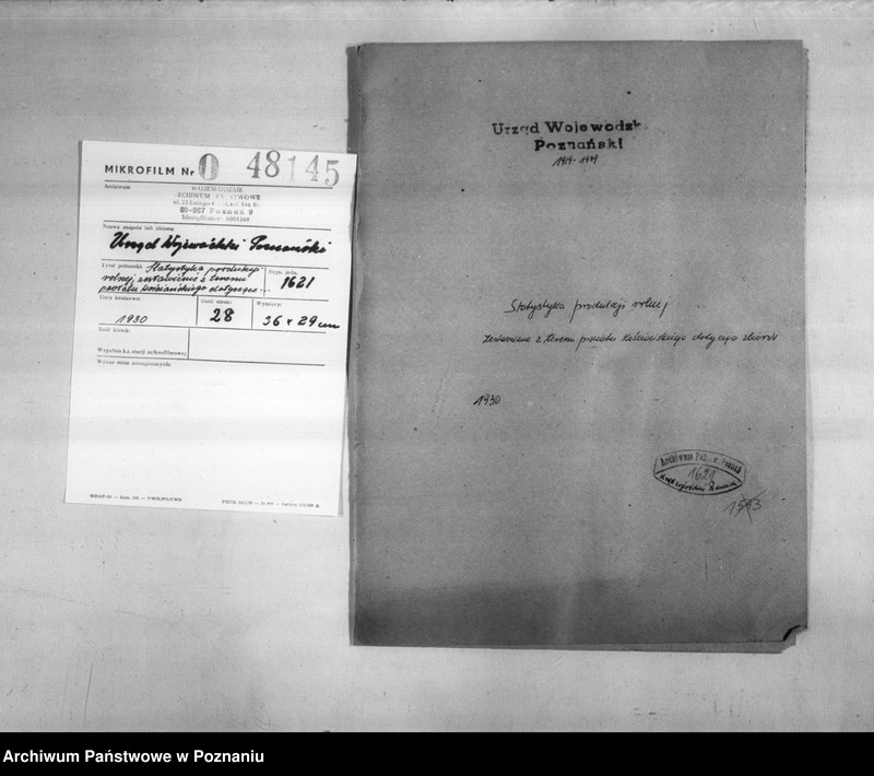 Obraz 2 z jednostki "/Statystyka produkcji rolnej - zestawienie z terenu powiatu kościańskiego"