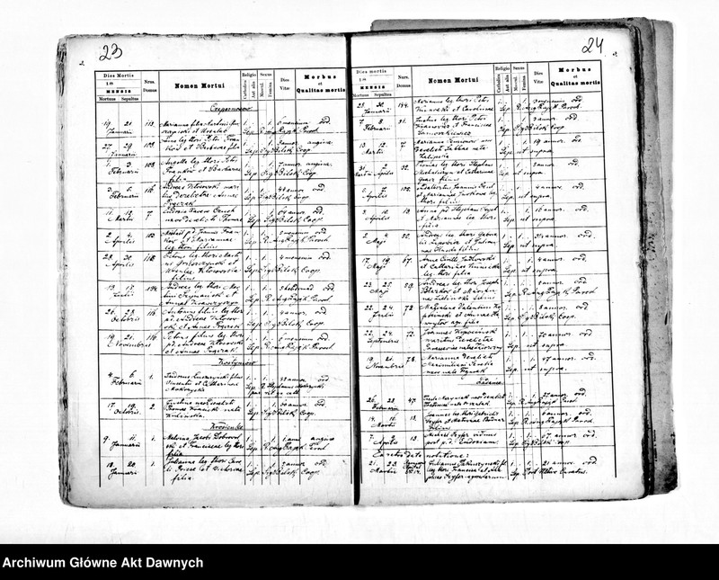 image.from.unit.number "Parafia: Przemyślany. Dekanat: Świrz. Kopie z ksiąg metrykalnych ur., śl., zg. dla miasta Przemyślany i wsi: Biłka, Borszów, Brykoń, Brzuchowice, Czupernosów, Krosienko, Ładańce, Meryszczów, Pletenice, Pniatyn, Psiworogi, Uniów, Uszkowice, Wołków, Wypyski."