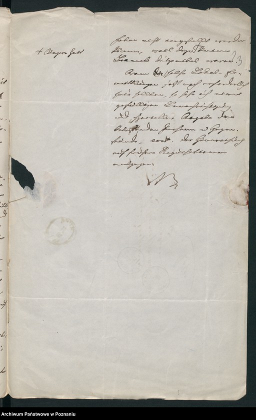 Obraz 17 z jednostki "A. betr. Valentin von Połczyński aus Ślesin auch Marzell Połczyński"