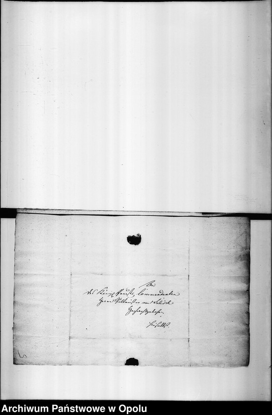 Obraz 10 z jednostki "Acta betreffend die Ausmittelung der fremden Pferde und etwaniges Fuhrwerk was durchs Militair da und dort requirirt, und auf diese Art vom Eigenthümern abhanden gekommen Vol. I de anno 1813"