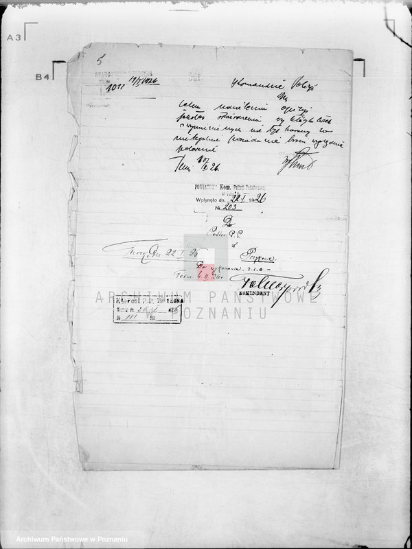 Obraz 9 z jednostki "Gminne Koło Łowieckie w Pęcherzewie powiat turecki"