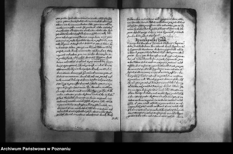 Obraz 12 z jednostki "Decreta [inducta]"