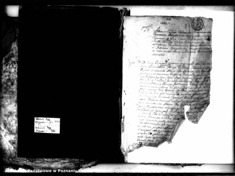 Obraz 5 z jednostki "Relationes [protocollon]"