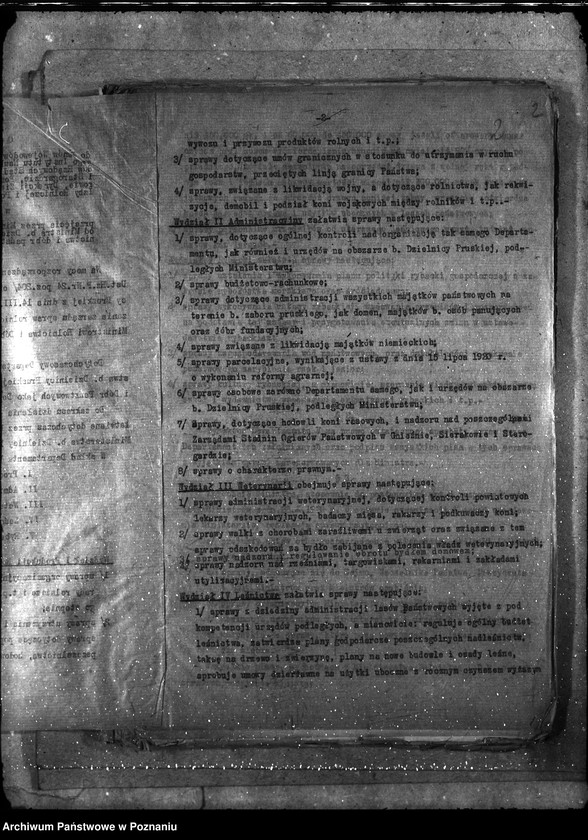 Obraz 6 z jednostki "Okólniki"