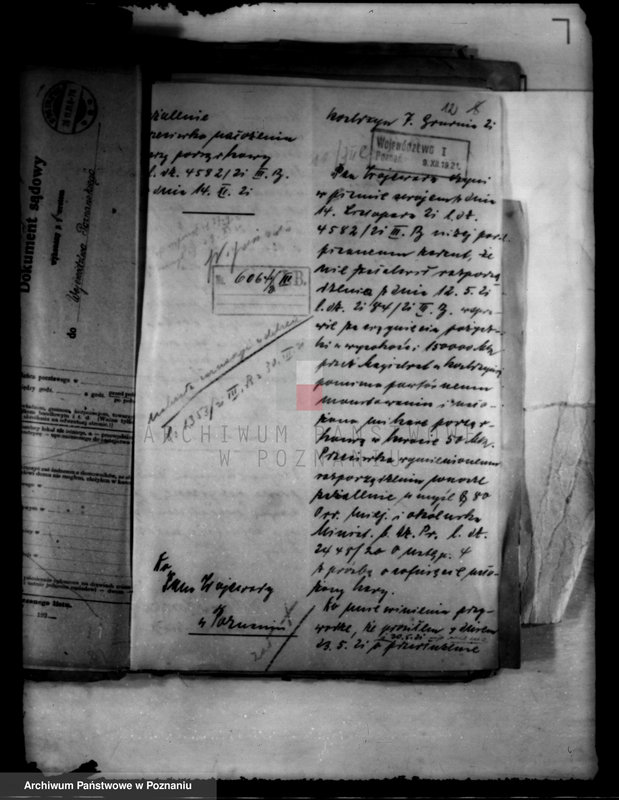 Obraz 16 z jednostki "Administracja miasta Kostrzyna"