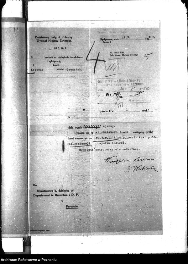 Obraz 9 z jednostki "Nosacizna - Grodzisk"