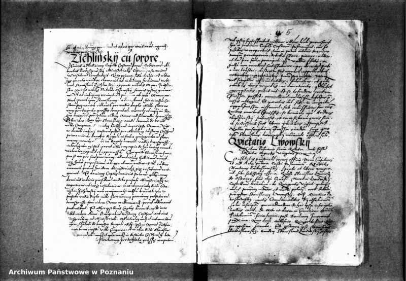 Obraz 10 z jednostki "Inscriptiones, relationes, decreta iudicii et officii [inducta]"