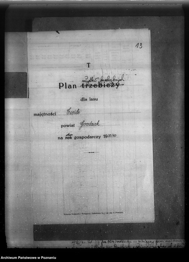 Obraz 17 z jednostki "Majątek Cieśle powiat grodziski /Nadzór nad gospodarką leśną/"