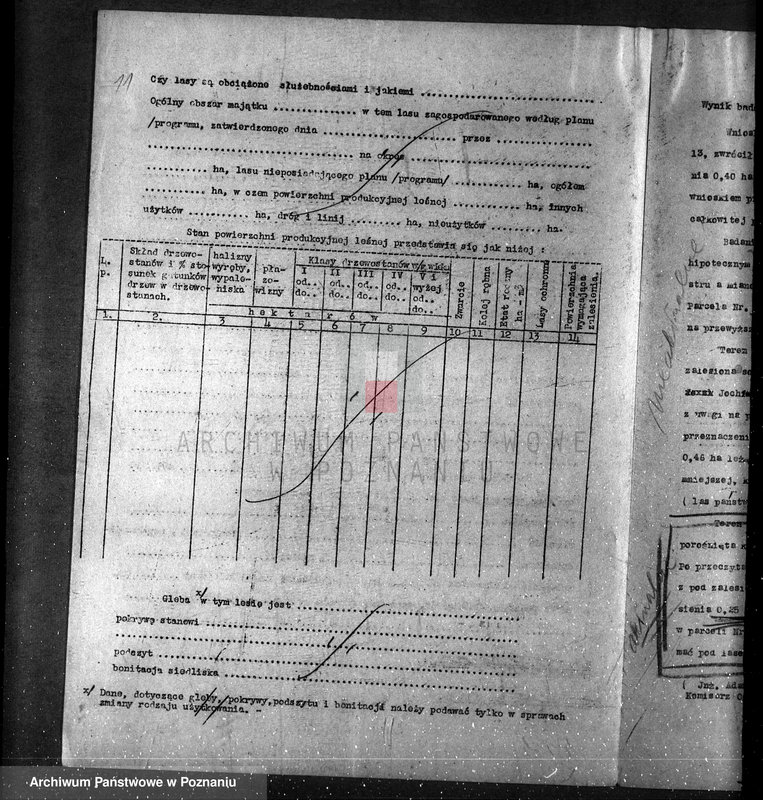 Obraz 15 z jednostki "/Zalesienie gruntów ornych/"