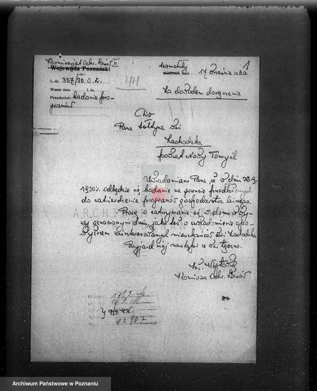 Obraz 5 z jednostki "/Nadzór nad gospodarką leśną/ protokoły badania lasów, programy gospodarcze powiat nowotomyski"