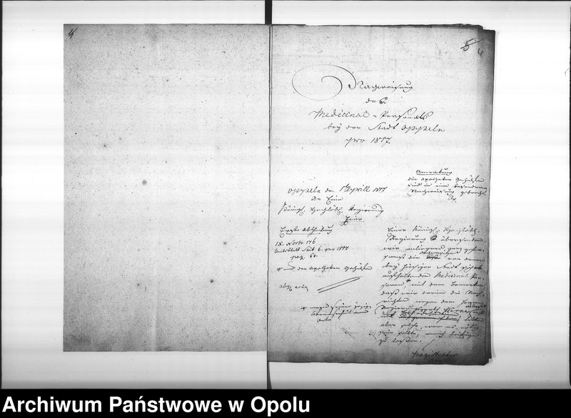 Obraz 8 z jednostki "Acta von Anfertigung und Einsendung der Nachweisungen des Medicinal Personals bey der Stadt Oppeln Vol. I pro 1817"