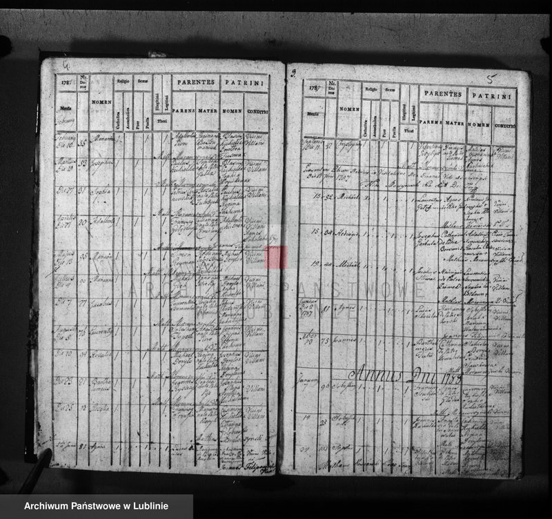 Obraz 5 z jednostki "Liber natorum matrimonium et sepultorum pro villa Górno seu Majdan Górny"